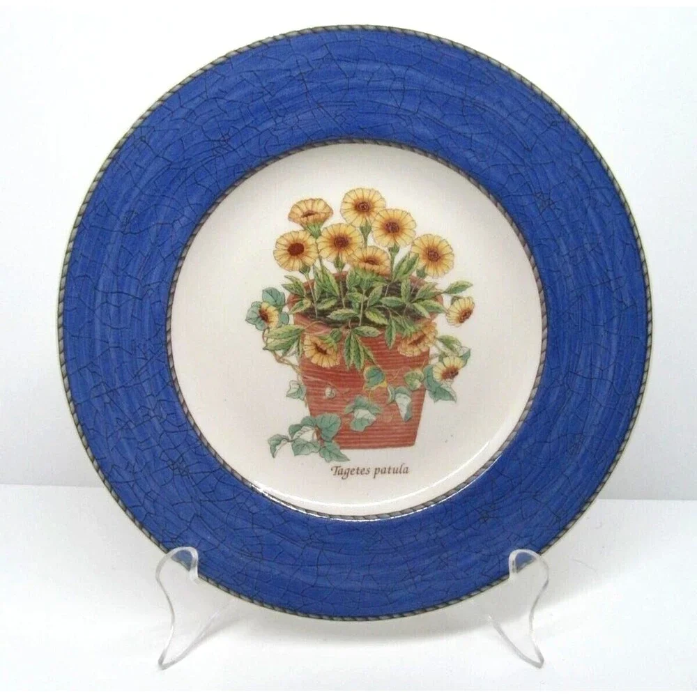 Wedgwood Queen's Ware England Sarah's Garden Tagetes patula Salad Plate 8